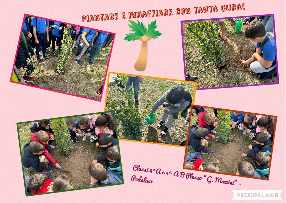 Festa dell'albero 2024