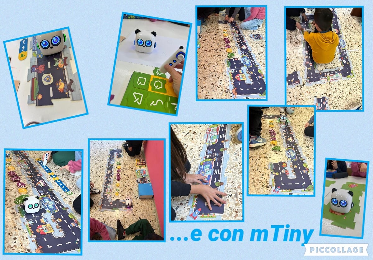 Collage 3