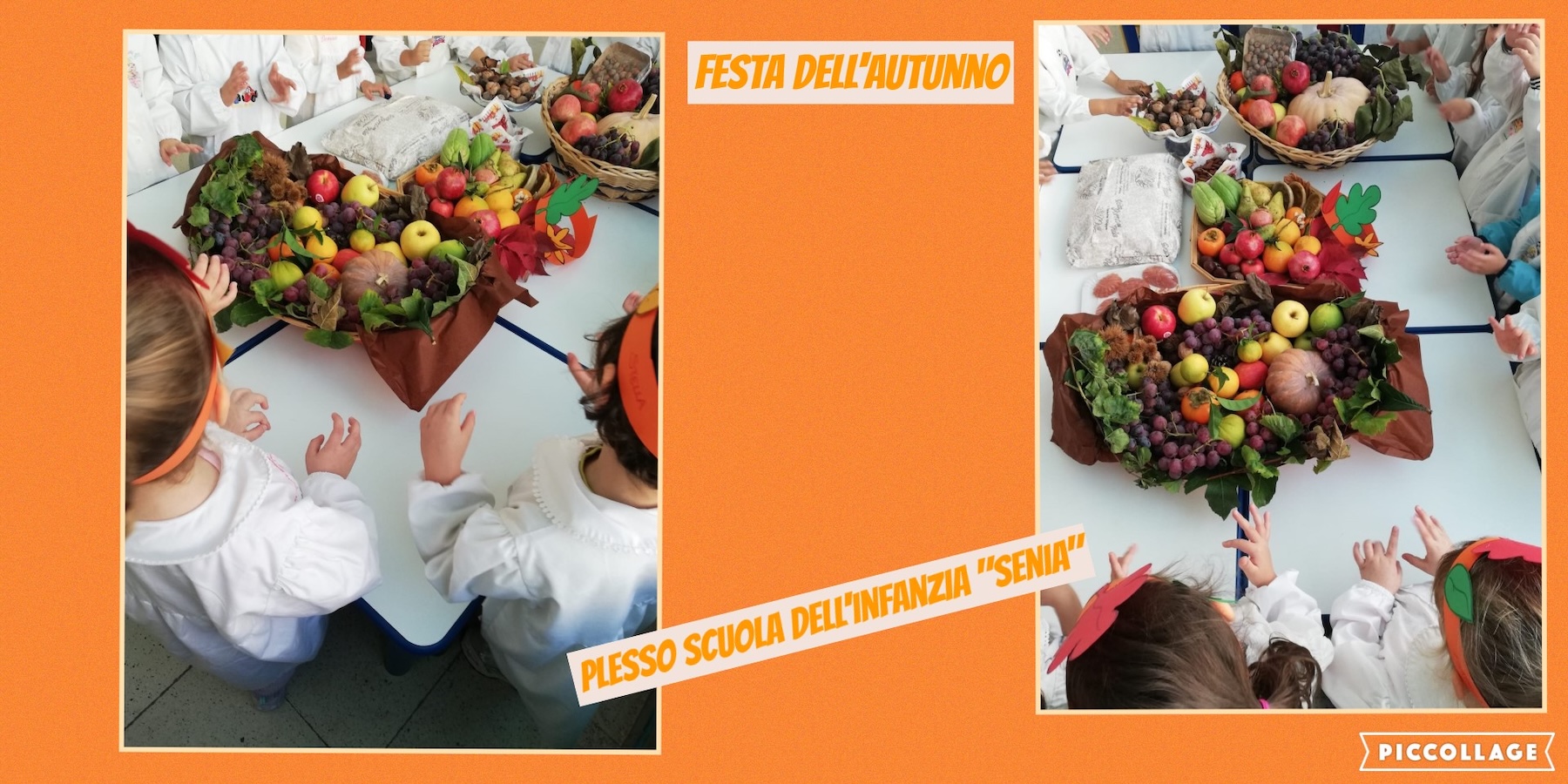 Autunno Infanzia Senia