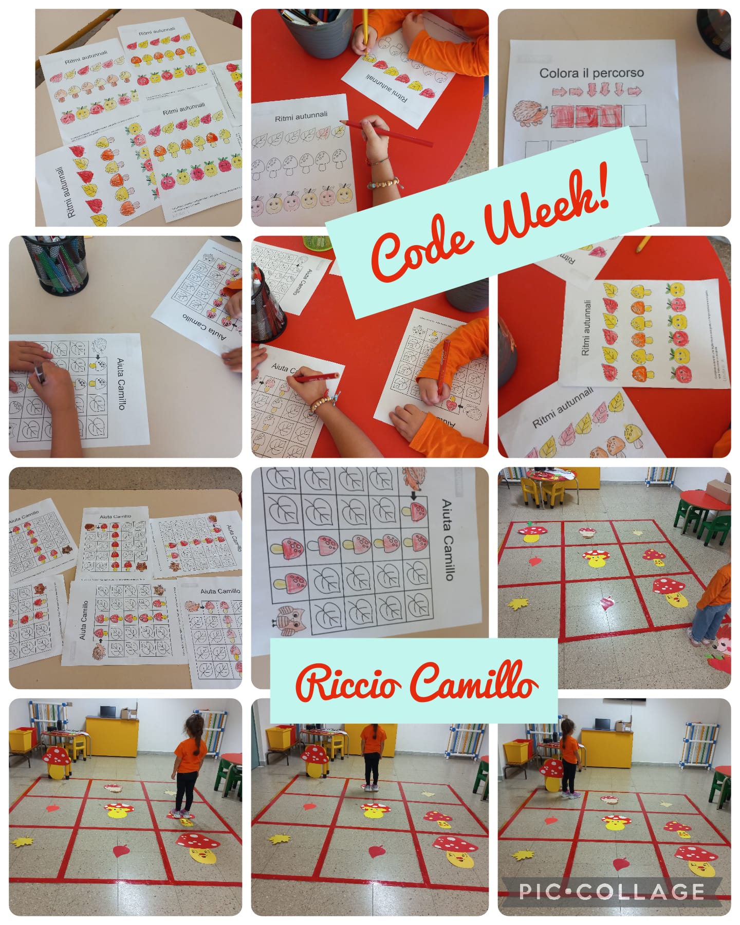 Scuola dell’Infanzia S. M. Goretti – Gattini