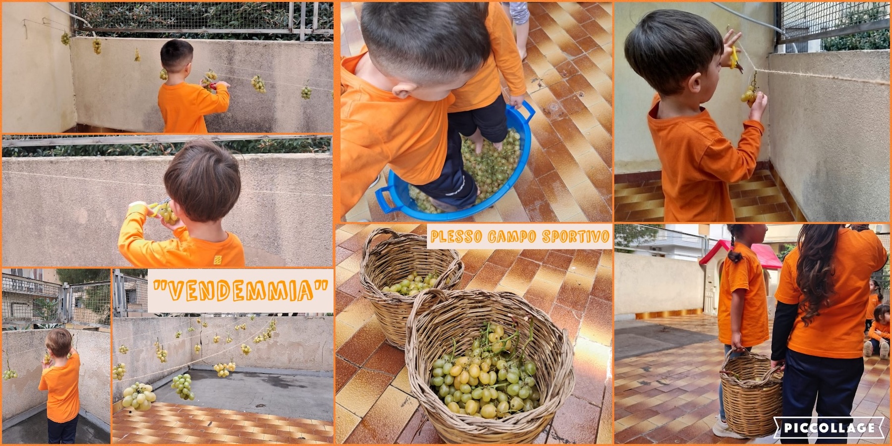 Vendemmia Campo Sportivo